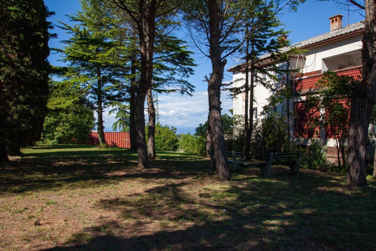 בפורטורוז Hostel Trobenta In Oblak מראה חיצוני תמונה