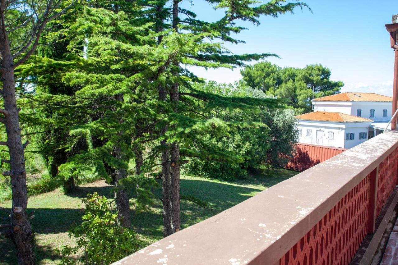 בפורטורוז Hostel Trobenta In Oblak מראה חיצוני תמונה