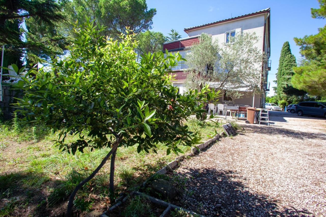 בפורטורוז Hostel Trobenta In Oblak מראה חיצוני תמונה