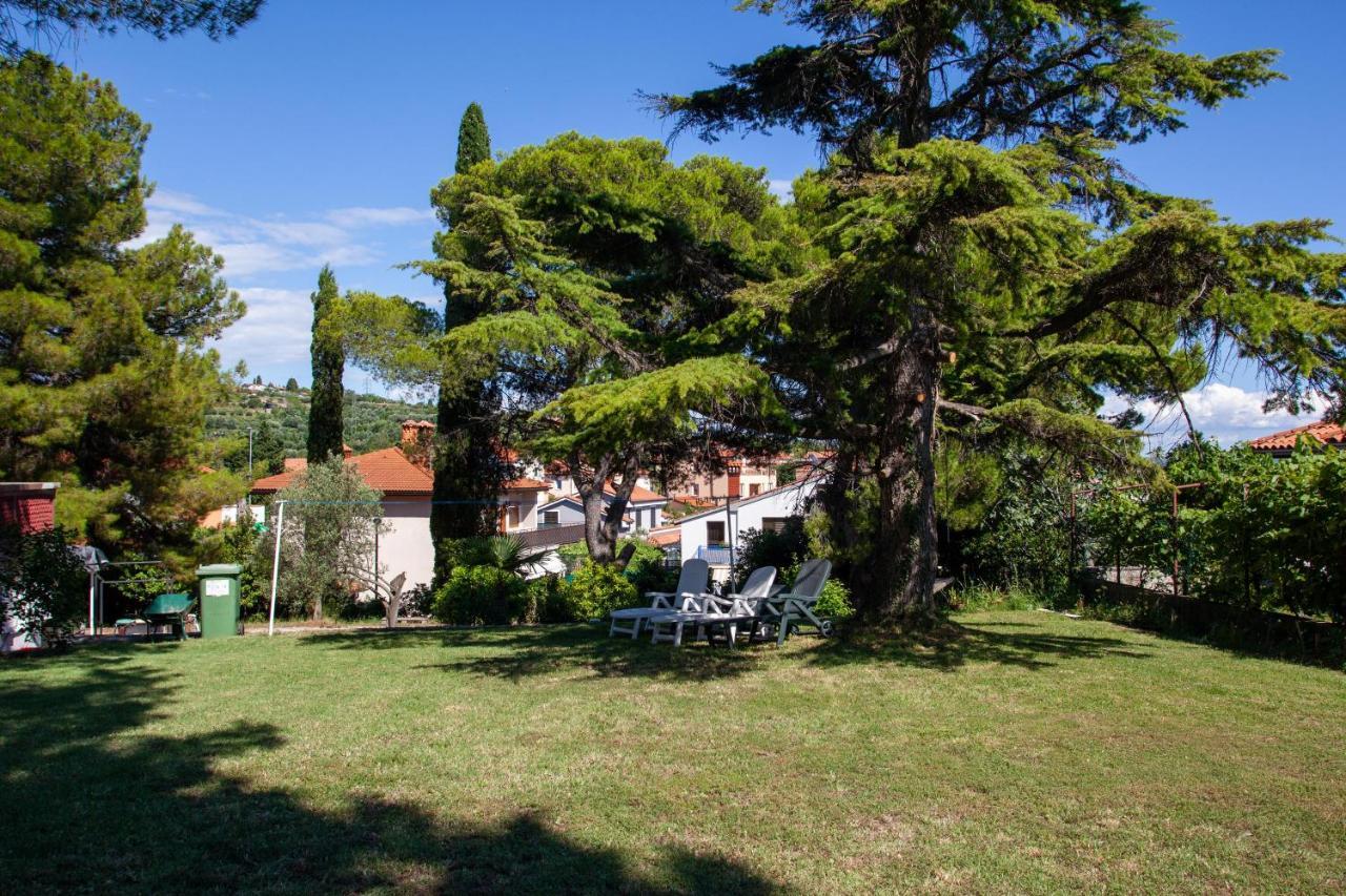 בפורטורוז Hostel Trobenta In Oblak מראה חיצוני תמונה