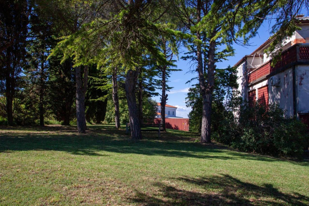 בפורטורוז Hostel Trobenta In Oblak מראה חיצוני תמונה