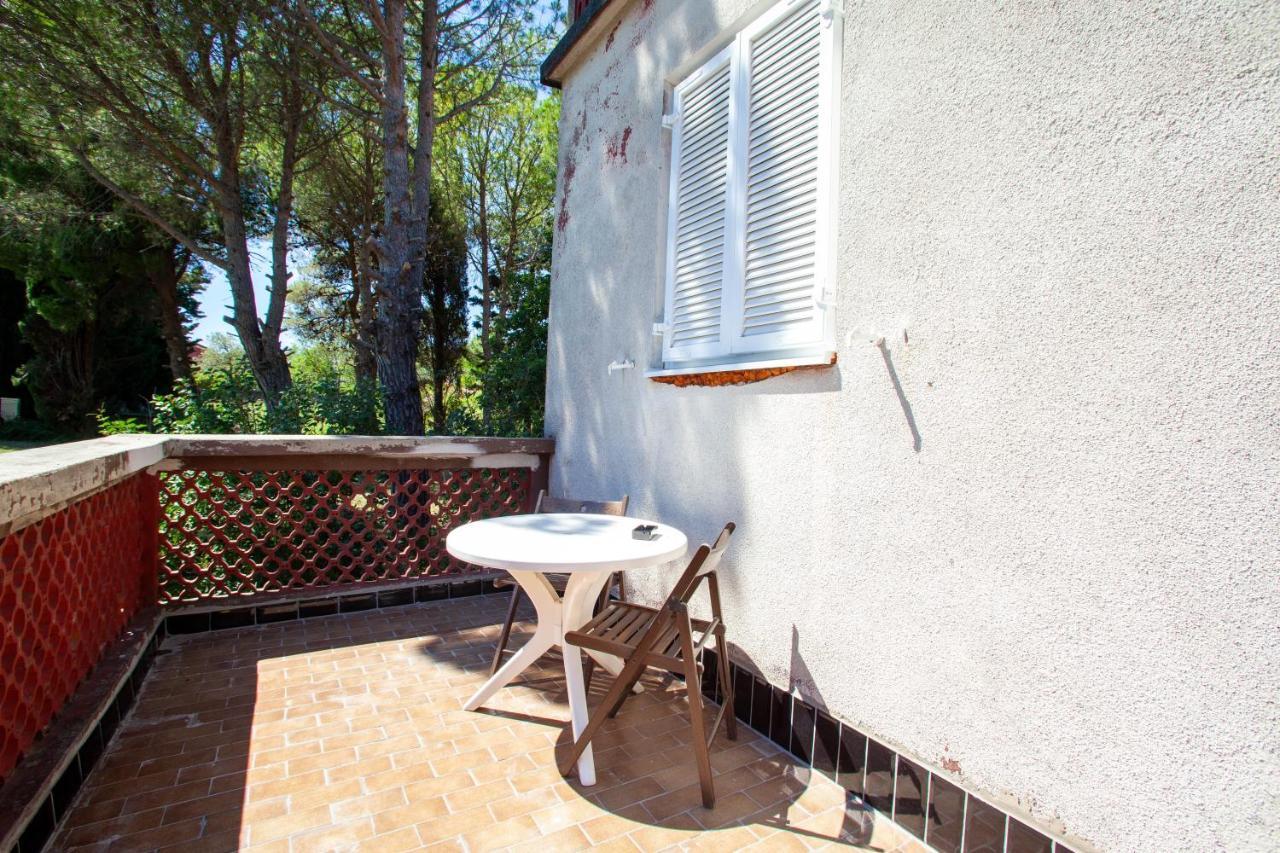 בפורטורוז Hostel Trobenta In Oblak מראה חיצוני תמונה