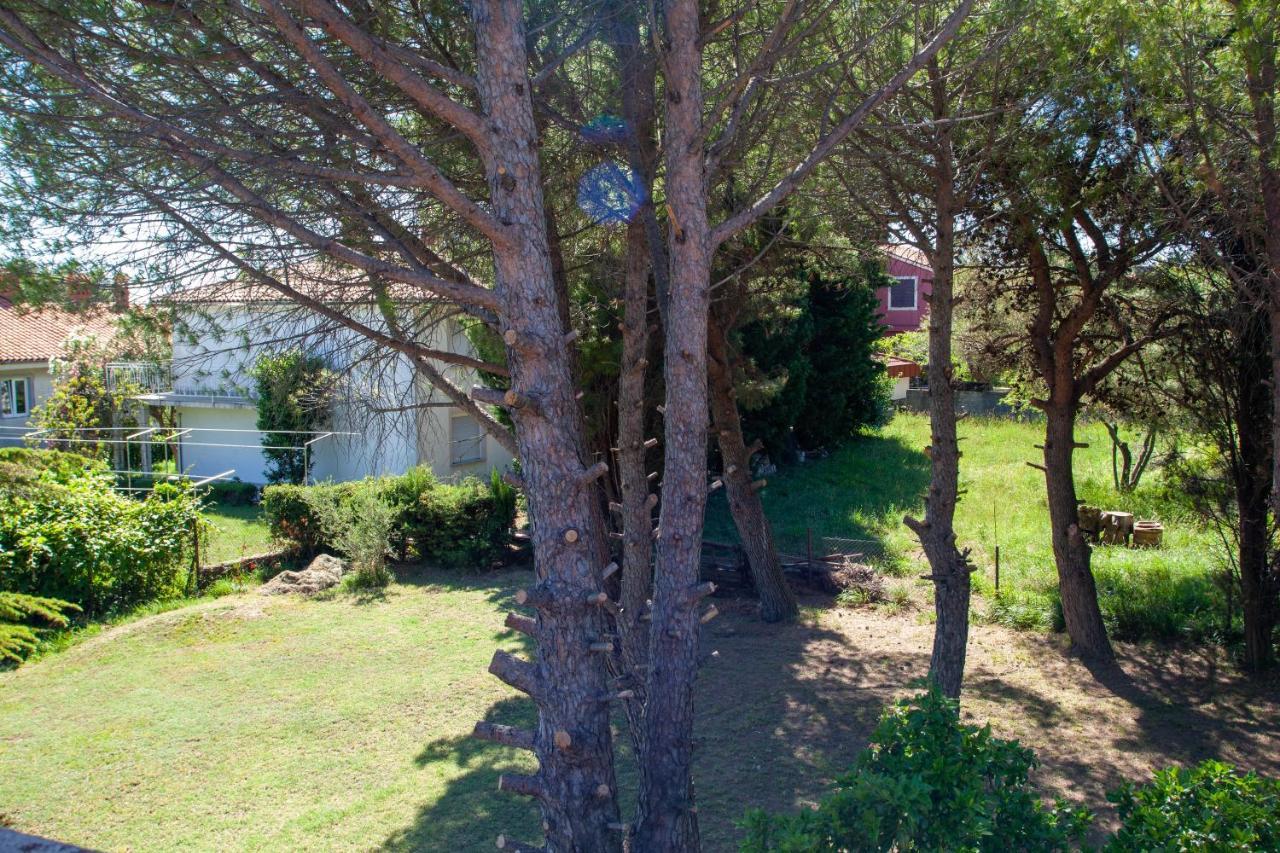 בפורטורוז Hostel Trobenta In Oblak מראה חיצוני תמונה